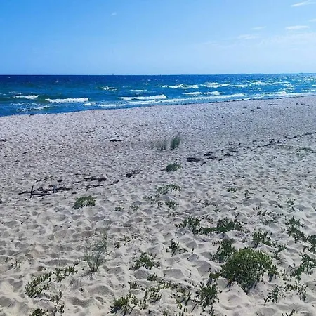 Feriehus 4 Star In Sydals-by Traum Nedre Lysabild